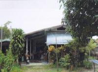 https://loei.ohoproperty.com/220358/ธนาคารอาคารสงเคราะห์/ขายบ้านเดี่ยว/ศรีสองรัก/เมืองเลย/เลย/