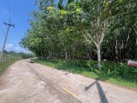 https://loei.ohoproperty.com/219090/ธนาคารกสิกรไทย/ขายที่ดินว่างเปล่า/ผาบิ้ง/วังสะพุง/เลย/