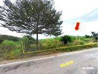 ที่ดินว่างเปล่าหลุดจำนอง ธ.ธนาคารกสิกรไทย เอราวัณ เอราวัณ เลย