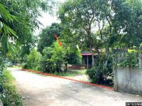 บ้านเดี่ยวหลุดจำนอง ธ.ธนาคารกสิกรไทย หนองหิน หนองหิน เลย