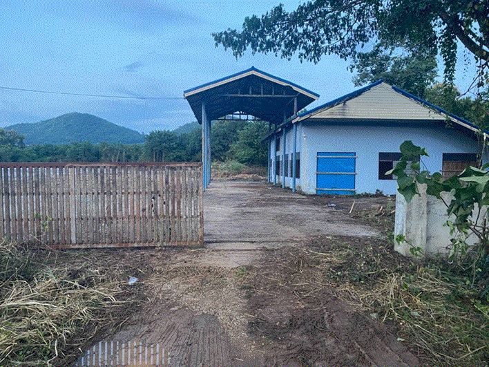 โกดังหลุดจำนอง ธ.ธนาคารกรุงเทพ ธาตุ เชียงคาน เลย